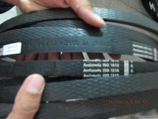 Belt Photo 15